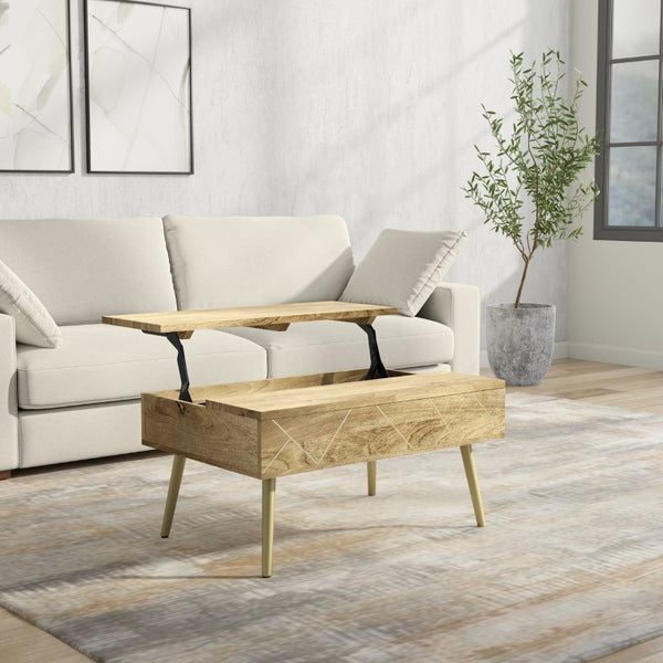 English Elm Spartan Mango Hardwood Lift Top Coffee Table with Brass Inlays and Hidden Storage B2732P549788