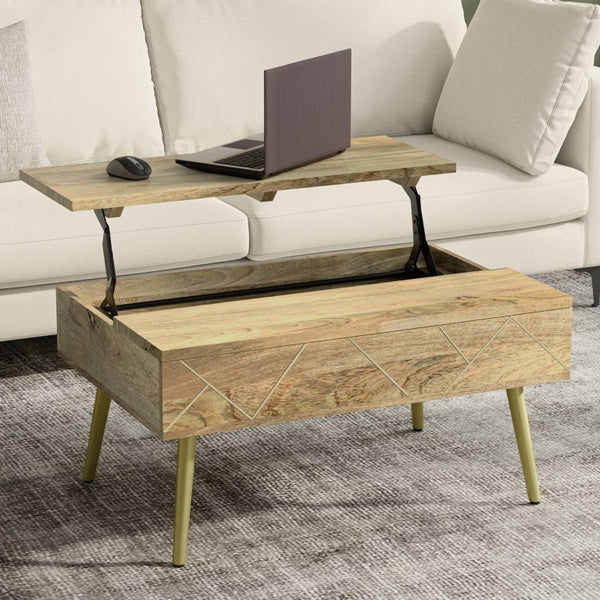 English Elm Spartan Mango Hardwood Lift Top Coffee Table with Brass Inlays and Hidden Storage B2732P549788