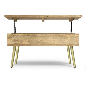 English Elm Spartan Mango Hardwood Lift Top Coffee Table with Brass Inlays and Hidden Storage B2732P549788