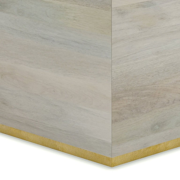 English Elm Viola Solid Mango Wood Square Coffee Table with Brass Trim Geometric Base Whitewash B2732P549789