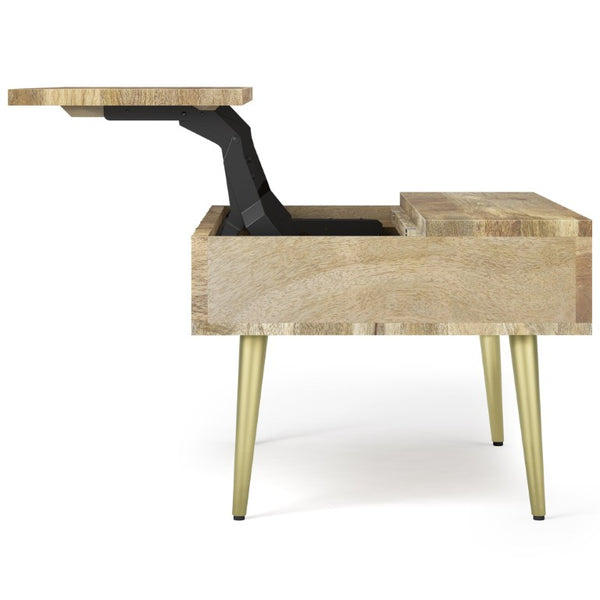 English Elm Spartan Mango Hardwood Lift Top Coffee Table with Brass Inlay and Hidden Storage B2732P549795