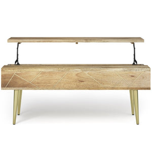 English Elm Spartan Mango Hardwood Lift Top Coffee Table with Brass Inlay and Hidden Storage B2732P549795