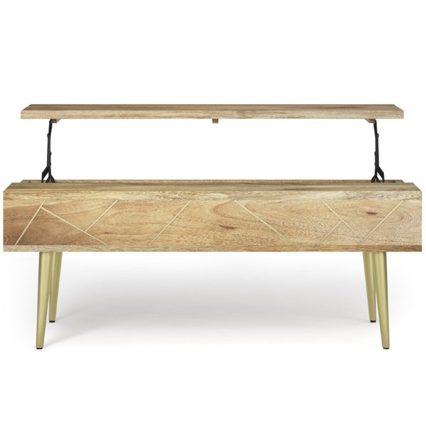 English Elm Spartan Mango Hardwood Lift Top Coffee Table with Brass Inlay and Hidden Storage B2732P549795