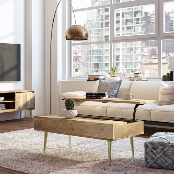 English Elm Spartan Mango Hardwood Lift Top Coffee Table with Brass Inlay and Hidden Storage B2732P549795