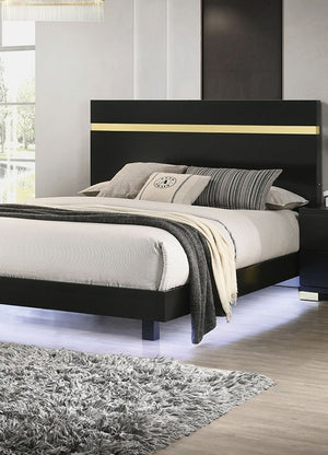 English Elm Black Twin Platform Bed with LED Underbed Lighting and Gold Acrylic Headboard Trim B2741S00178