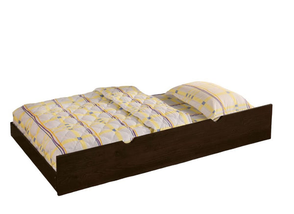 English Elm Twin Over Bunk Bed with Trundle Solid Wood Frame Transitional Kids Bedroom Dark Walnut / Espresso Twin Over Twin B2741S01150