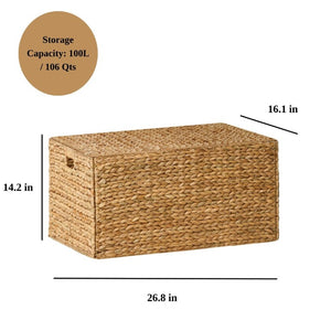 English Elm Ludmila Woven Water Hyacinth Storage Trunk Bohemian Coastal Organizer for Any Room B2765P523545