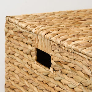 English Elm Ludmila Woven Water Hyacinth Storage Trunk Bohemian Coastal Organizer for Any Room B2765P523545
