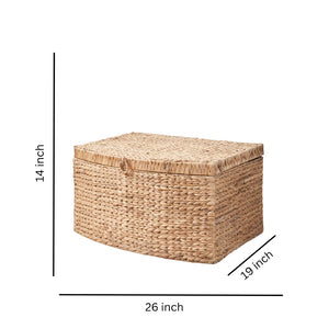 English Elm Ludmilla Water Hyacinth Woven Storage Trunk Bohemian Handcrafted Organizer with Handles B2765P523551