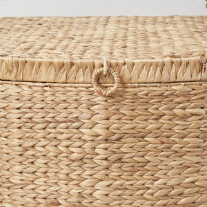 English Elm Ludmilla Water Hyacinth Woven Storage Trunk Bohemian Handcrafted Organizer with Handles B2765P523551