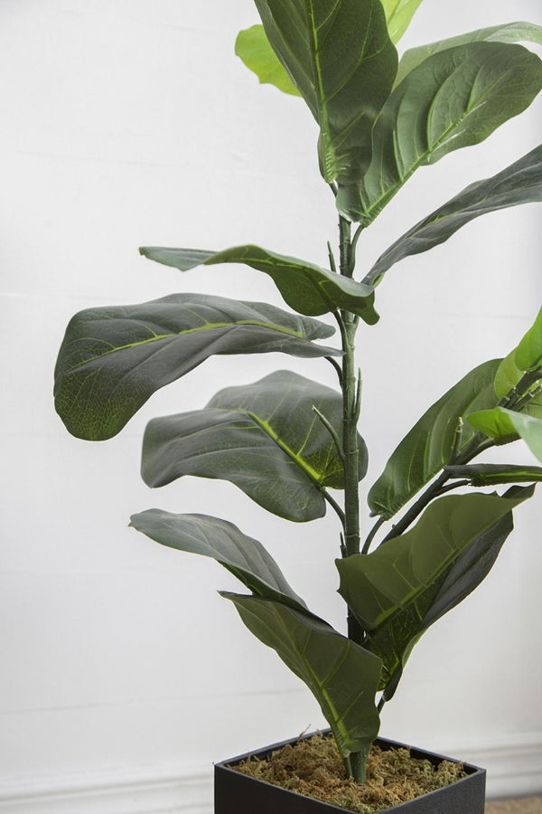 English Elm 20X16x35 Faux Fiddle Leaf Fig Floor Plant Lifelike Greenery for Modern Living Spaces B2768P496846