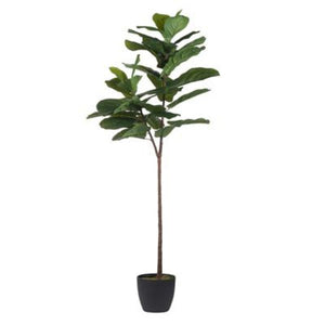 English Elm 25.5X16x59 Artificial Fiddle Leaf Fig Tree Lifelike PEVA Foliage Moss Base Indoor Decor B2768P496851