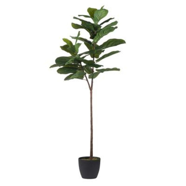 English Elm 25.5X16x59 Artificial Fiddle Leaf Fig Tree Lifelike PEVA Foliage Moss Base Indoor Decor B2768P496851