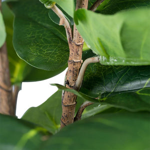 English Elm 25.5X16x59 Artificial Fiddle Leaf Fig Tree Lifelike PEVA Foliage Moss Base Indoor Decor B2768P496851