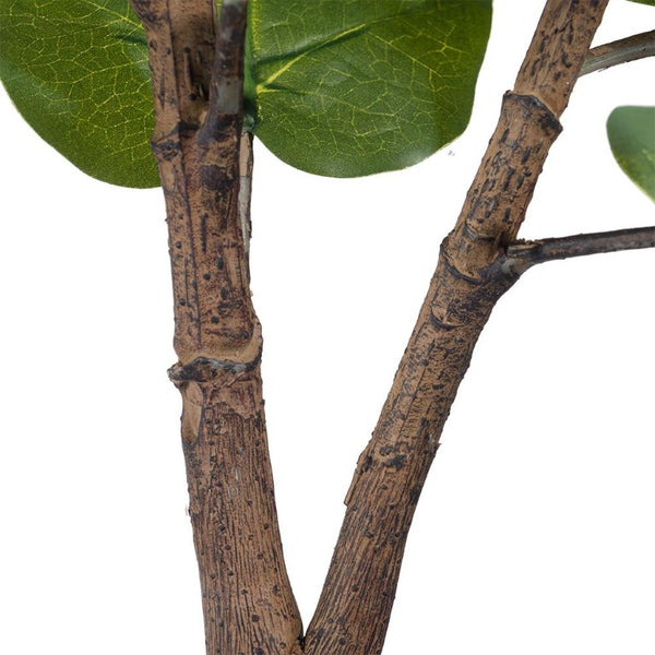 English Elm 25.5X16x59 Artificial Fiddle Leaf Fig Tree Lifelike PEVA Foliage Moss Base Indoor Decor B2768P496851