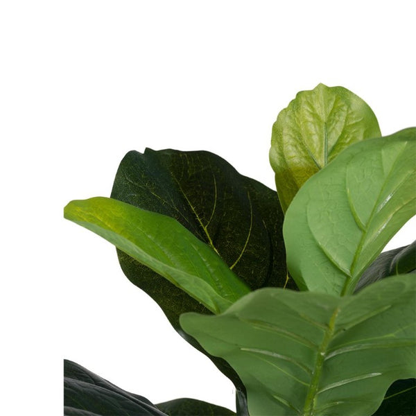 English Elm 25.5X16x59 Artificial Fiddle Leaf Fig Tree Lifelike PEVA Foliage Moss Base Indoor Decor B2768P496851