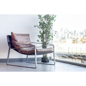 English Elm Club Chair Top Grain Aniline Leather Accent Seat for Living Room or Study B2769P523743