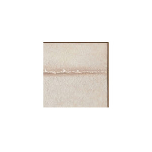English Elm Painting, Square Gallery Canvas Blush Neutral Tones Acrylic on Solid Wood Framed Wall Art B2769P551508