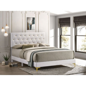 English Elm James White Leatherette Queen Bed Tufted Headboard with Gold Button Glam Accents B2777P535990