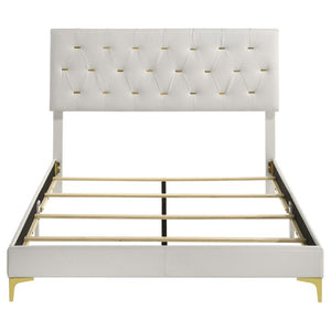 English Elm James White Leatherette Queen Bed Tufted Headboard with Gold Button Glam Accents B2777P535990