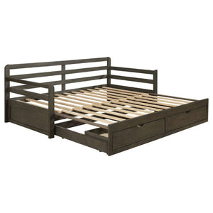 English Elm Grey Pine Daybed with Pull-Out Trundle and Storage Drawers for Guest Rooms B2777S00019