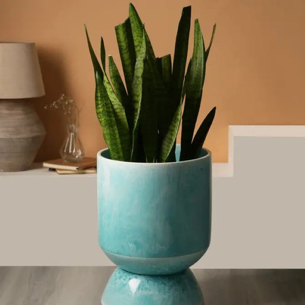 English Elm Decorative Ocean Blue Resin Vase with Glossy Finish and Ball Feet Sculptural Accent B346P392408