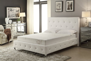 English Elm 8Inch Aloe Infused Memory Foam Twin Mattress Three Layer Firm Support Knit Cover B347P526702