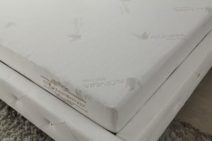English Elm 8Inch Aloe Infused Memory Foam Twin Mattress Three Layer Firm Support Knit Cover B347P526702