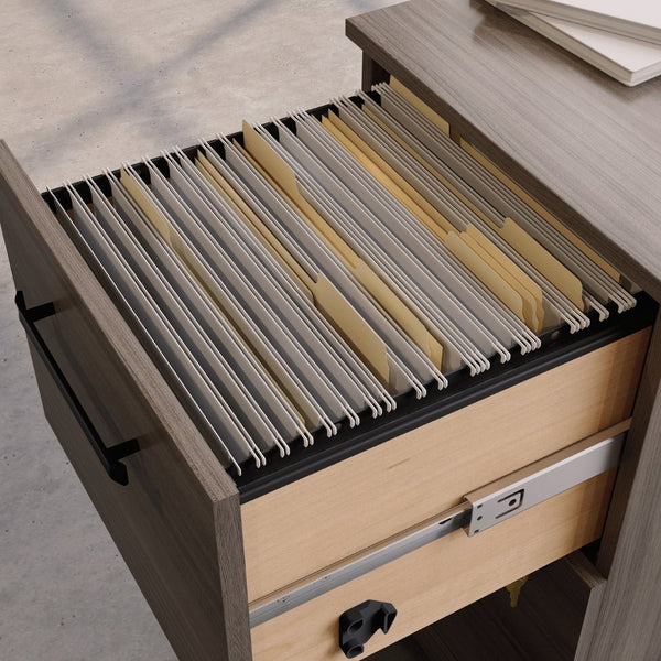 English Elm 2-Drawer Rolling Pedestal with Locking File Storage and Warm Brown Finish for Home Office B356P494515