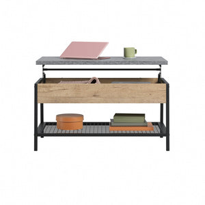 English Elm Lift-top Coffee Table with Hidden Storage Oak Gray Accent Transitional Living Room B356P494538