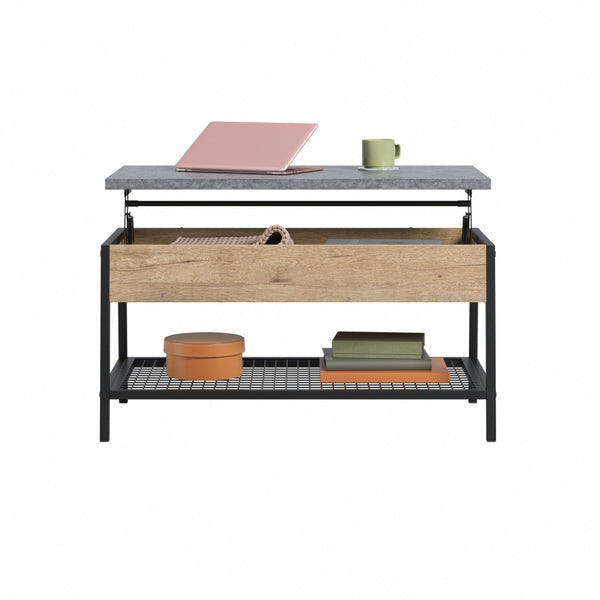 English Elm Lift-top Coffee Table with Hidden Storage Oak Gray Accent Transitional Living Room B356P494538