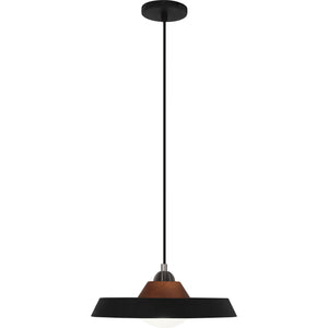 Robert Abbey Mavisten Edition Far Pendant BLACK POWDERCOATED IRON WITH ASH WOOD DETAIL Black Powder Coated Iron Shade With Frosted Glass Lense