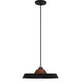 Robert Abbey Mavisten Edition Far Pendant BLACK POWDERCOATED IRON WITH ASH WOOD DETAIL Black Powder Coated Iron Shade With Frosted Glass Lense