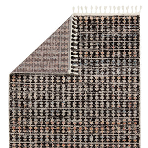 Jaipur Living Vibe by Jaipur Living Boho Trellis Polypropylene Area Rug with Braided Fringe Accent 5'3"X7'6" RUG152495