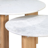 Dovetail Bryn Coffee Table White Marble and Natural Wood Finish Banswara Marble and Mango Wood BB250