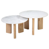 Dovetail Bryn Coffee Table White Marble and Natural Wood Finish Banswara Marble and Mango Wood BB250