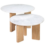 Dovetail Bryn Coffee Table White Marble and Natural Wood Finish Banswara Marble and Mango Wood BB250