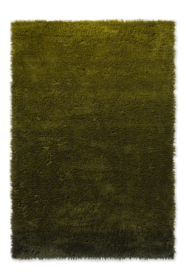 Brink & Campman Shade High 100% Pure New Wool Tufted Rug Olive,Deep Forest 100% pure new wool 011907250350-BRINK-CAMPMAN