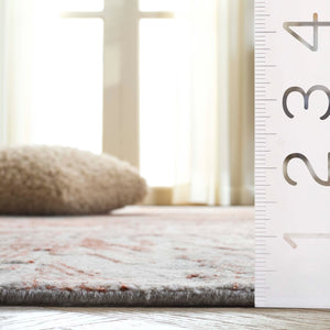 Safavieh Bedford Elegant Area Rug - Hand Loomed Artistic Design For Modern Living Spaces - 3/8" Height Grey ,Rust 60% Viscose,20% Wool,20% Cotton Bfd101f-6