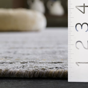 Safavieh Bedford Hand-Loomed 6X9 Grey & Gold Abstract Rug — Low 1/4" Pile, Viscose-Cotton-Wool Blend, Modern Elegance BFD201D-6