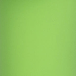 English Elm Lucas Active Flexible Stool for Kids – Encourages Movement, Focus, and Healthy Posture in Classrooms Green BFT-9001F-14-GRN-GG