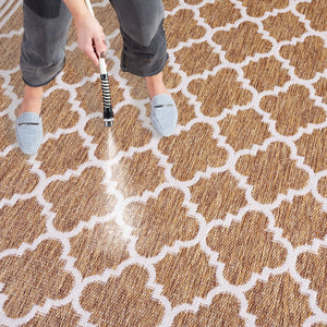 Safavieh Beach House Stylish Area Rug For Modern Decor, Durable Polypropylene & Polyester Blend, Large Size Brown ,Ivory 85% Polypropylene,15% Polyester Bhs266t-26