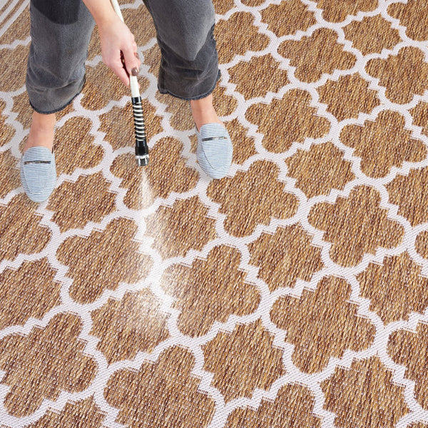 Safavieh Beach House Stylish Area Rug For Modern Decor, Durable Polypropylene & Polyester Blend, Large Size Brown ,Ivory 85% Polypropylene,15% Polyester Bhs266t-26