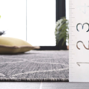 Safavieh Beach House Modern Area Rug - Elegant Charcoal And Grey Design For Indoor & Outdoor Spaces Charcoal ,Grey 85% Polypropylene,15% Polyester Bhs280h-5