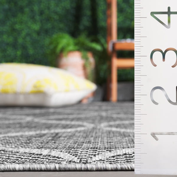 Safavieh Beach House Modern Area Rug - Elegant Charcoal And Grey Design For Indoor & Outdoor Spaces Charcoal ,Grey 85% Polypropylene,15% Polyester Bhs280h-5