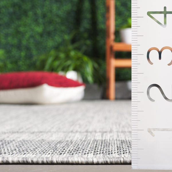 Safavieh Beach Area Rug: Elegant Power-loomed Design For Indoor & Outdoor Spaces - Durable, Oeko-tex Certified Grey ,Charcoal 85% Polypropylene,15% Polyester Bhs290f-4