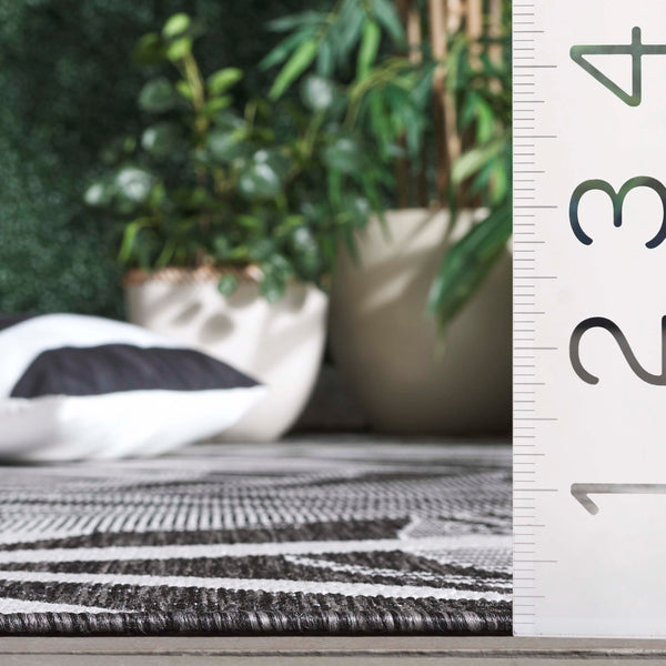 Safavieh Beach Modern Elegance Area Rug – Stylish Charcoal & Ivory Design For Indoor/Outdoor Spaces Charcoal ,Ivory 85% Polypropylene,15% Polyester Bhs294h-7r