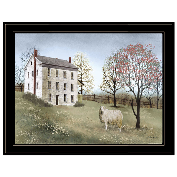 English Elm "spring at White House Farm" Billy Jacobs Framed Canvas Wall Art Farmhouse Decor B06785480
