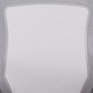 English Elm Kale Ergonomic Mesh Task Chair with Flip-Up Arms, Lumbar Support & Smooth Rolling Casters for Comfort Gray BL-ZP-8805-GY-GG