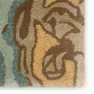 Jaipur Living Jaipur Living Wool Viscose Hand Tufted Floral Rug Plush Botanical Floor Art RUG100566
